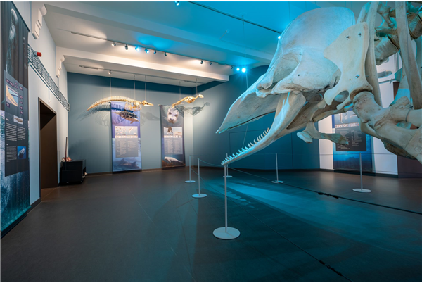 Natuurmuseum Brabant