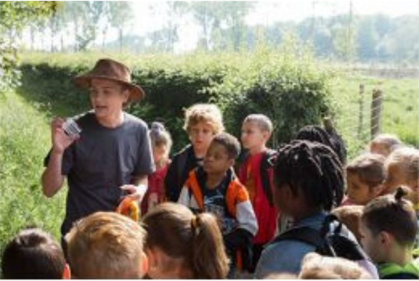 Festival Buitenlol