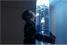 De Belevingsruimte<br>