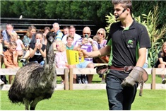 Dierenpark de Oliemeulen<br>