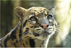 Dierenpark Zie-Zoo<br>