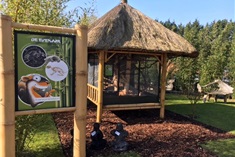 De eekhoorn experience<br>