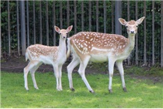 Boerderij de Kiboe-hoeve<br>