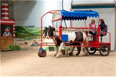 Manege Zonder Drempels<br>