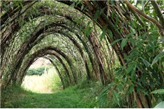 De Schellerdriehoek<br>