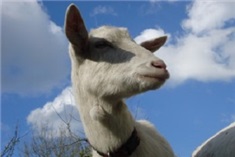 Nieuw Rotsoord Utrecht<br>