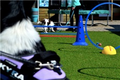 Kinderfeestjes op maat<br>