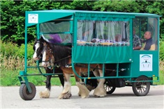 Stichting Huifbed<br>