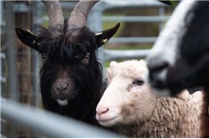 Beweegroute Vroege Vogelbos<br>